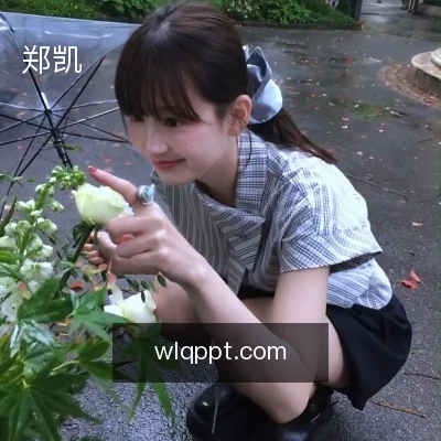 郑凯